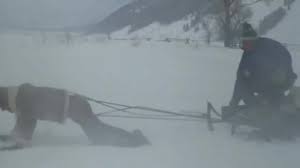 The rocky iv training montage inspired swimmer michael phelps. Real King Of The North Rocky And Game Of Thrones Crossover Meme Video Gifs Season 8 Meme Game Of Thrones Meme Got Meme Tv Series Meme Hybrids Meme Mashups