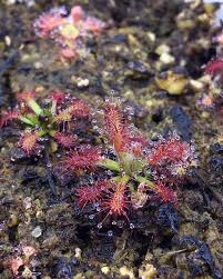 As she gets older, she becomes more sophisticated marie exclaimed that it was an amazing garden. Naughty Nick S Nightmare Nursery Home Facebook