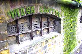 If you are living in an urban apartment and want to have your own miniature yard in your room, then these indoor moss garden ideas will help you to have the best one! Diy How To Make Your Own Green Moss Graffiti