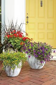 Here, purple summer snapdragon and golden coleus will look great all summer. 125 Container Gardening Ideas Southern Living
