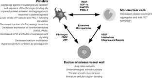 Image result for Platelet Function Closure Time
