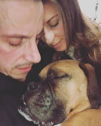 Loss of a bernese mountain dog