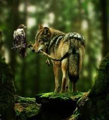 Can T Be Real But It S Cool Anyways Wolf Beautiful Wolves Animals Animals Beautiful