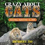 Crazy about Cats