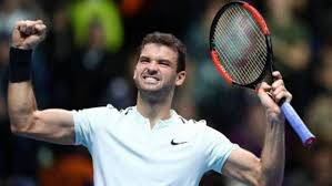 Born 7 december 1990) is a belgian professional tennis player whose career high ranking is world no. Grigor Dimitrov Lifestyle Net Worth Income Salary House Cars Favorites Affairs Awards Family Facts Professional Tennis Players David Goffin Finals