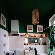 When the light comes on it will bounce off of the light paint to create the look of more natural light. Bathroom Makeover Proves The Power Of A Painted Ceiling It S Lush