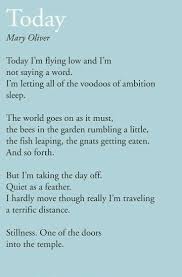 Today Mary Oliver Mary Oliver Poems Mary Oliver Quotes Words