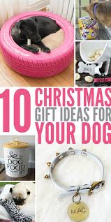 10 Christmas Gift Ideas For Your Dog Ad Ideserveatreat Customgifts Personalizedgifts Diygifts Dog Christmas Gifts Christmas Dog Dog Lover Gifts