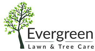 Landscaping & lawn services in gainesville & jonesville, fl. Home Evergreen Lawn Tree Care Cheyenne Wy Landscaping Tree Services