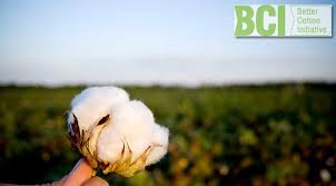 Das bci siegel steht nicht für ökologisch angebaute baumwolle im strengen sinne, sondern für eine „nachhaltigere baumwolle. Better Cotton Reaches Record Level Uptake Textilegence