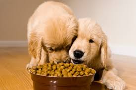 Here's how to find out if your dog's or cat's food is affected. Recall 18 Brands Of Dog Food Recalled By Fda Over Toxin Concerns