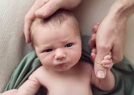 Megan Willis Photography