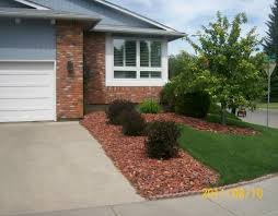 There is often unrelenting sunlight, and a lack of a. Driveway Landscaping Photo