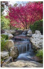Kolam Dengan Air Terjun Ide Halaman Belakang Taman Jepang Kolam Ikan
