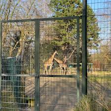Check out updated best hotels & restaurants near zoo dortmund. Giraffenhaus Zoo Dortmund Rombergpark Dortmund Nordrhein Westfalen