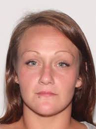 Greenwood, Franklin, Indianapolis drug dealing roundup