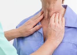 Image result for thyroid gland