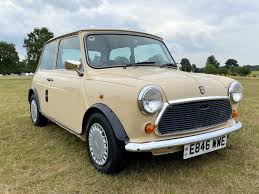 Image result for Mini Mayfair