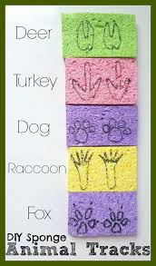 Diy Animal Tracks Activities Nature Art Animal Tracks Animal Crafts For Kids Mammals Activities