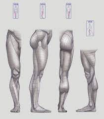 We did not find results for: Anatomy Next Anatomy Of Lower Limb Block Outs Anatomy Reference Anatomy Drawing Anatomy Sketches