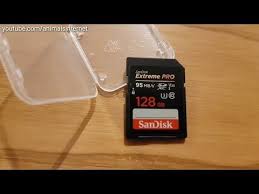 Pin Em Animalsinternet