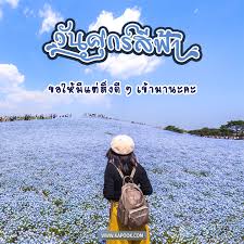 วันอาทิตย์ที่ ๓๐ พฤษภาคม พ.ศ.๒๕๖๔ แรม ๔ ค่ำ เดือน ๗(วันนี้ยังไม่เหมาะแก่การกระทำการมงคล)เคล็ดดวงดี. 5hgqj5lg7holqm