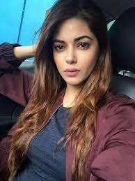 Meera chopra is an indian actress and model who has appeared in tamil, telugu and hindi films. Meera Chopra Wiki Age Height Weight Family Movies