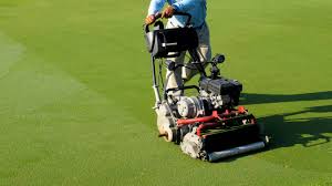 We did not find results for: So You Want To Have A Backyard Putting Green