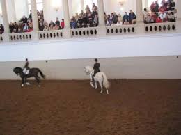 spanish riding school eleven seating standing categories