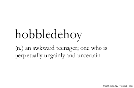 Pin On Foreign Dictionary