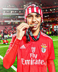 Жуа́н фе́ликс секе́йра — португальский футболист, нападающий клуба «атлетико мадрид» и национальной сборной португалии. Joao Felix Joaofelix70 Twitter