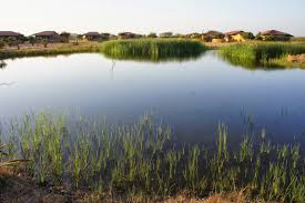 BombayJules: The Blackbuck Lodge - Velavadar