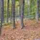 Sugarbush Management Field Day at Nutkin Knoll Farm
