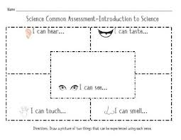Five Senses Assessment Kindergarten Science Science Assessments Senses