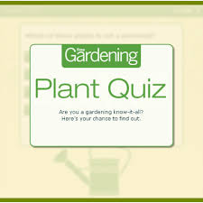 Sep 22, 2020 · icebreaker questions are some of the most popular icebreaker games.icebreaker questions are of many different kinds and can be used for any age group. Test Your Gardening Iq Finegardening