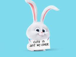 Snowball 4k Wallpapers For Your Desktop Or Mobile Screen Free And Easy To Download In 2021 Funny Wallpapers Cute Wallpapers Bunny Wallpaper