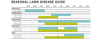 Lawn Diseases Milorganite