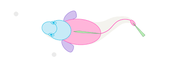 How To Draw Animals Dolphins Whales And Porpoises Animal Drawings Animated Drawings Drawn Fish