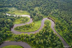 As soon as a truly warm weather sets in, nature bursts into bloom: 6 Must Visit Unesco National Parks And Reserves In Belarus