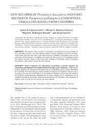 Over 100 templates to choose from, all high quality! Pdf New Records Of Peropteryx Leucoptera And First Record Of Peropteryx Pallidoptera Chiroptera Emballonuridae From Colombia