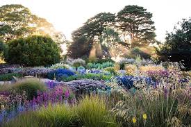 606 Otmetok Nravitsya 37 Kommentariev Claire Takacs Clairetakacs V Instagram Michael Mccoy S Stunni Australian Garden Landscape Design Portland Garden