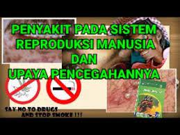 We did not find results for: Jenis Penyakit Sistem Reproduksi Manusia Dan Upaya Pencegahannya Ipa Kelas 9 Youtube
