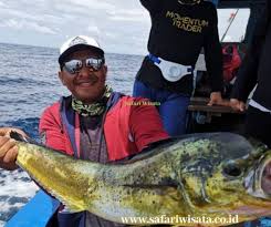 Walaupun ikan kecil makanan yang disukai ikan. 12 Ikan Target Mancing Mania Di Aceh Indonesia Laut Lepas Air Tawar Freshwater Saltwater Safari Wisata International
