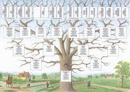 Grâce à des centaines de modèles clairs et uniques, vous. Genealogie Alsace Lorraine Vosges Crhf Centre De Recherches Sur L Histoire Des Familles Haut Rhin Guebwiller Le Crhf Arbres Genealogiques Grand Format