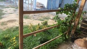 Buat agan2 yg minat jadi sopir bus, entah itu karena cuma penasaran atau karena memang hobi, atau mungkin punya alasan lain. Sipa Miboridana Vetaveta Gasy Tia Malagasy Sary Gasy Tia Www Aice5w Me