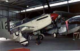 Image result for Gray 1984 Fleet