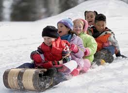 Image result for canadian toboggan