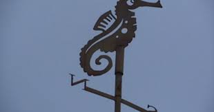Seahorse Weathervane St Augustine Fl Seahorse Weathervanes Weather Vanes