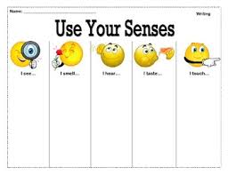 Sensory Details Graphic Organizer Worksheets Tpt