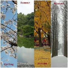 We did not find results for: Yes I Can Do It Spring Summer Autumn Winter Which One